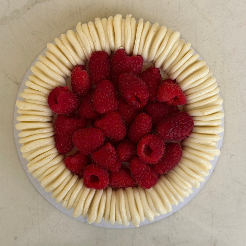 Raspberry Charlotte Cake